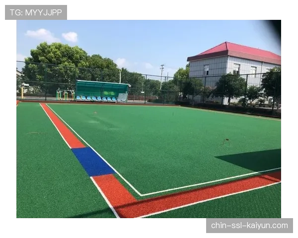 球场智慧清洁设备的采购、维护与成本核算,球场设施